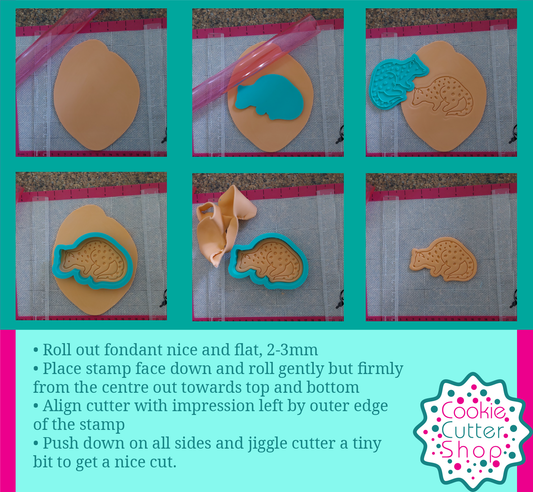 Tiger Quoll or Spotted-Tailed Qoull