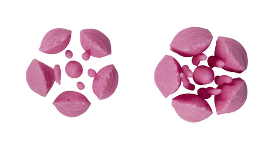 Russian Icing Nozzle Tulip 5 Petals-Cookie Cutter Shop Australia