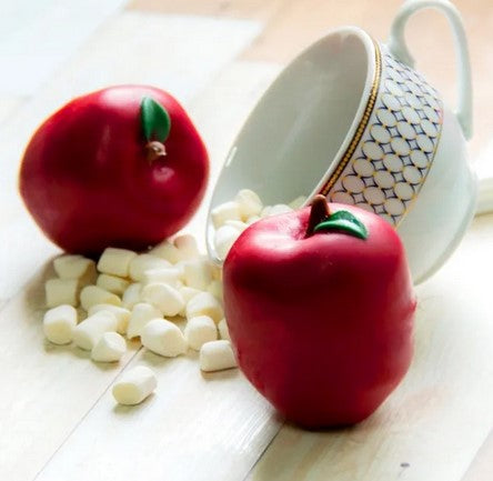 BWB Apple Chocolate Mould | Cookie Cutter Shop Australia