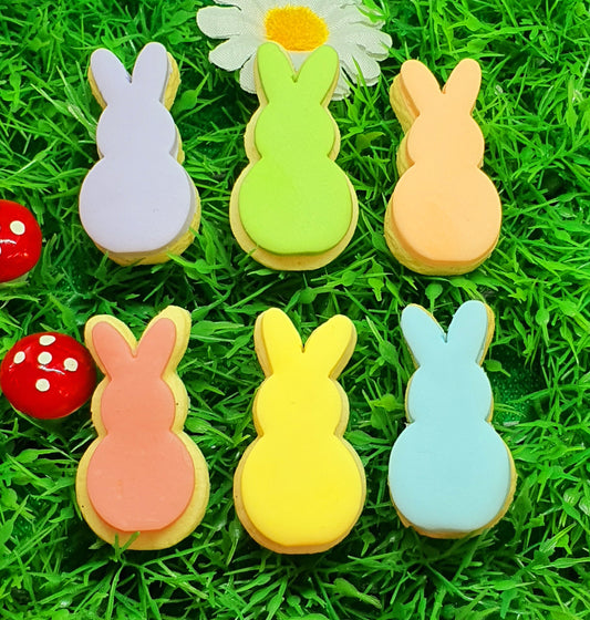 Bunnies in a Row | Cookie Cutter shop Australia