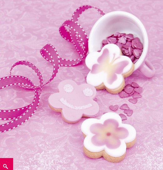 Cookie Decorating Kit 4 Pieces