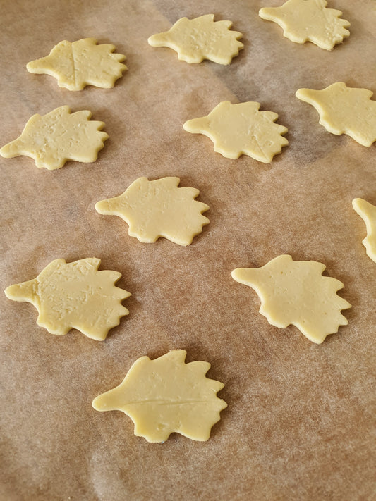 Mini Echidna Cookie Cutter | Cookie Cutter shop Australia