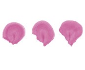 Rose Petal Nozzle Small #59