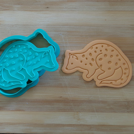 Tiger Quoll or Spotted-Tailed Qoull