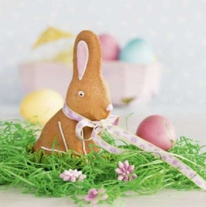 3D Cake Pan 'Little Easter Bunny' | Cookie Cutter Shop Australia