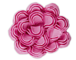 Russian Icing Nozzle Chrysanthemum Flower-Cookie Cutter Shop Australia