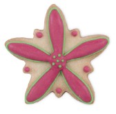 Edelweiss Flower Cookie Cutter Stainless Steel | Cookie Cutter Shop Australia
