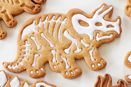 Dinosaur Triceratops Cookie Cutter and Embosser | Cookie Cutter Shop Australia
